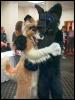 [Fursuit shen-and-baron4]