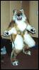 [Fursuit tan3]