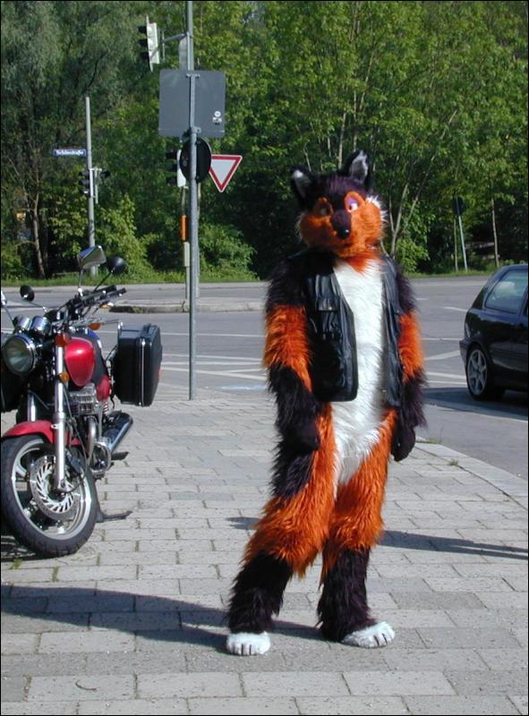 [Fursuit_you_didnt_know_my_bike.JPG]