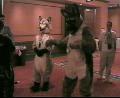 [26AC2002 FursuitMix03.mpg]