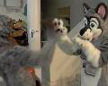 [MikePaws Confuzzled2009 Xvid.avi]