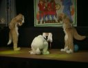 [Eisfuchs EF11 FursuitShow 01 The Great Escape.avi]