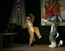 [Eisfuchs EF11 FursuitShow 02 Tani Timduru.avi]