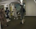 [EF11 ImprovisedFursuitDance01 Gathering Timduru Kodi Yakeo Pippin Junkvist.mpg]