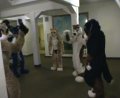 [EF11 ImprovisedFursuitDance09 Popcorn Timduru Yakeo SSC Pippin Uck Junkvist.mpg]