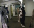 [EF11 ImprovisedFursuitDance11 Dreams1 Kodi Uck SSC Junkvist.mpg]