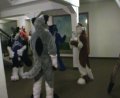 [EF11 ImprovisedFursuitDance14 Fables Yakeo Kodi Uck Pippin.mpg]