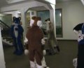 [EF11 ImprovisedFursuitDance15 Yakeo Pippin Uck Kodi Timduru SSC Thalyi.mpg]