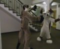 [EF11 ImprovisedFursuitDance25 Timduru Pippin SSC.mpg]