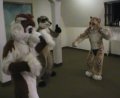 [EF11 ImprovisedFursuitDance27 Timduru Pippin SSC.mpg]