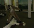 [EF11 ImprovisedFursuitDance30 DeadPippin Timduru.mpg]