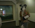 [EF11 ImprovisedFursuitDance31 Kodi Pippin Timduru.mpg]