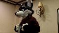 [Ratchet FFi2010 FursuitRoundTable01.mov]