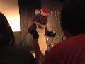 [Antimon FWA2006 santafox.avi]