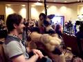 [WildbillTX FWA2007 4977 Duke and Simba.MOV]