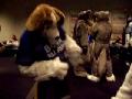 [WildbillTX FWA2007 5051 EagleBeagle Ranger.MOV]