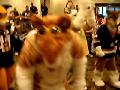 [Convoy FWA2008 034.mov]