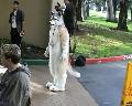 [Timduru FC2003 66 Critterlympics Wolftail xvid vorbis.ogm]