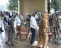 [Timduru FC2003 67 Critterlympics chairs xvid vorbis.ogm]