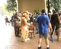 [Timduru FC2003 68 Critterlympics chairs xvid vorbis.ogm]