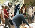 [Timduru FC2003 70 Critterlympics twister xvid vorbis.ogm]
