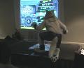 [Timduru FC2003 28 DDR Pinky Torrle Song2.mpg]