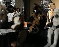 [Timduru FC2003 54 EndFursuits xvid vorbis.ogm]