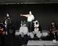 [Timduru FC2003 55 EndFursuits xvid vorbis.ogm]