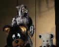 [Timduru FC2003 56 EndFursuits xvid vorbis.ogm]
