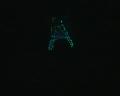 [Timduru FC2003 20 LaserShowEvacuates! xvid vorbis.ogm]