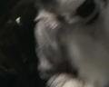 [Timduru FC2003 23 FastClawBirthday xvid vorbis.ogm]