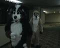 [Tim FC2004 DeadDogs01 2Timdurus xvid vorbis.ogm]