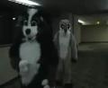 [Tim FC2004 DeadDogs01 2Timdurus xvid vorbis low.ogm]
