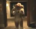 [Tim FC2004 DeadDogs09 Dance xvid vorbis low.ogm]