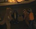 [Tim FC2004 DeadDogs11 DanceJump xvid vorbis.ogm]