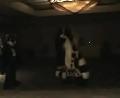 [Tim FC2004 DeadDogs15 Furpile xvid vorbis low.ogm]
