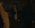 [Tim FC2004 DeadDogs16 Dancexvid vorbis low.ogm]