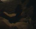 [Tim FC2004 DeadDogs17 Resting xvid vorbis.ogm]