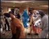 [FC2005 DeadDogs21 Timduru Thalyi Ocicat Furbo Donkey SSC Wolf Urf Blueneko.mpg]