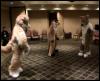 [FC2005 DeadDogs31 Lesson3 HowToGetTheDanceFloorEmptyAgain Berni Timduru Yakeo Scritch Poco.mpg]