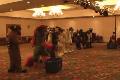 [Antimon MP2006 fursuit games 1 web.avi]