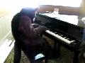 [WildBillTX RCFM2008 Furry Piano Playing.wmv]