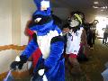 [WildBillTX RCFM2008 Fursuit parade.wmv]