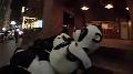 [Jackass the movie - Night pandas.avi]