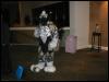 [TuxSkunk FC2003 254]