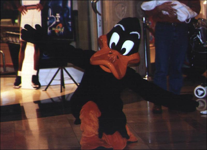 [daffy1.jpg]