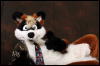 [Confuzzled 2010 Photoshoot 101]