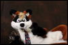 [Confuzzled 2010 Photoshoot 102]