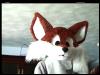 [foxotefursuit1]