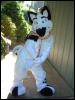 [texfursuitfa]